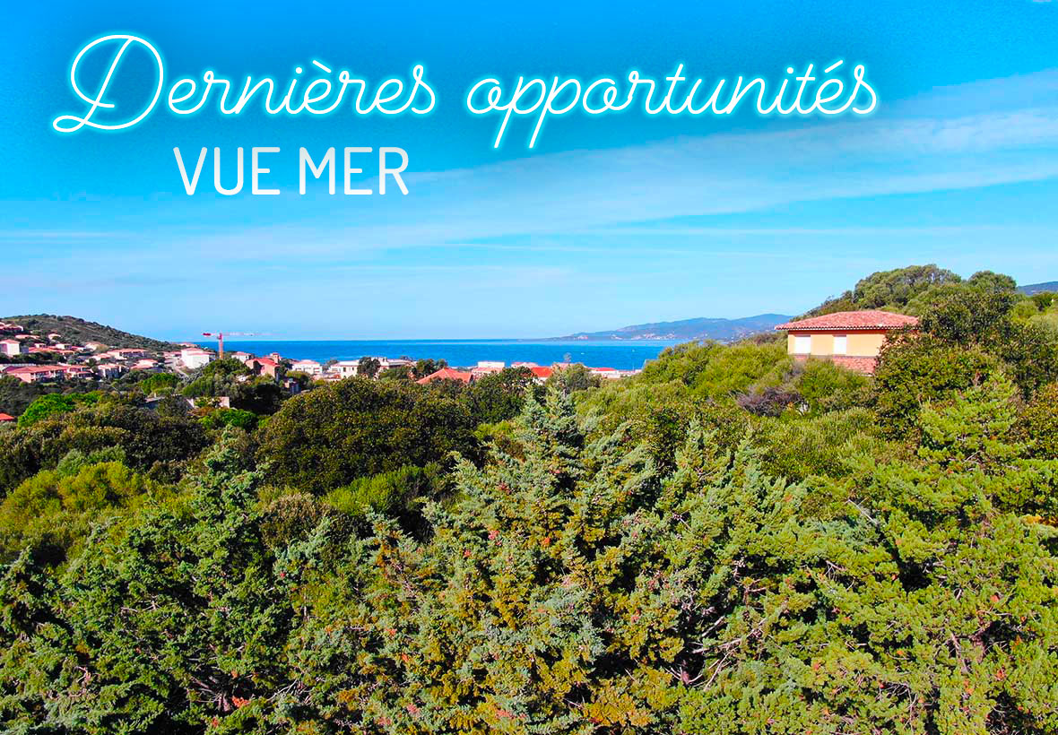 Dernières opportunités vur mer