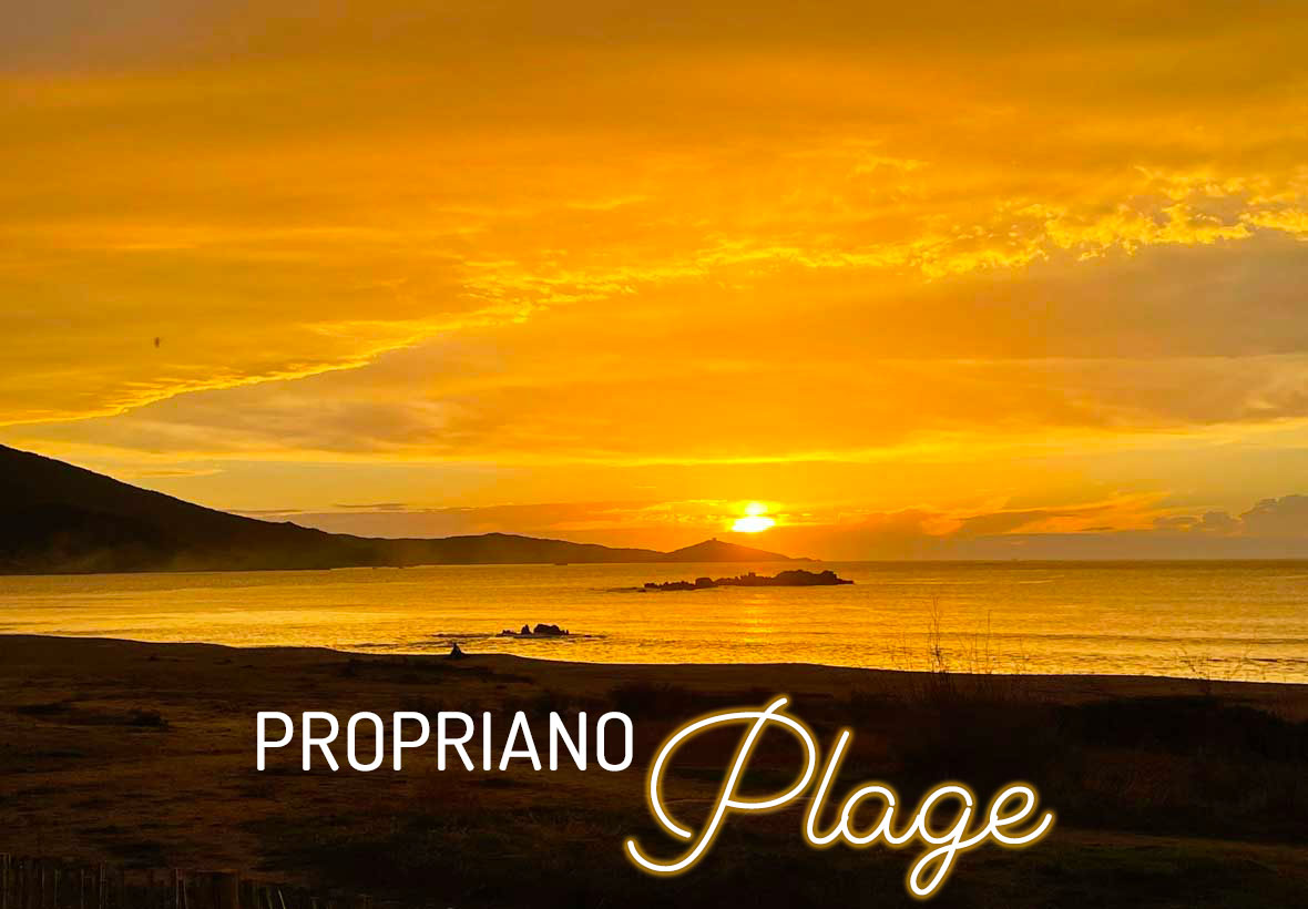 Propriano Plage